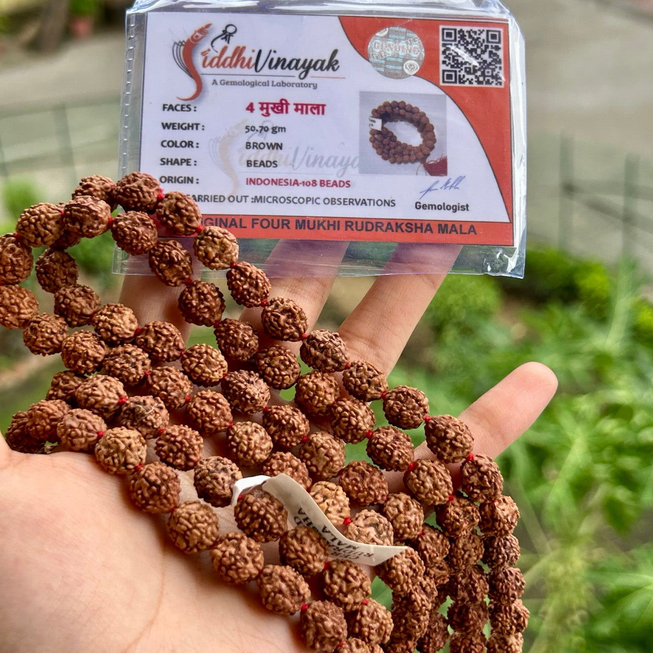 4 Mukhi Rudraksha Mala - With Certificate