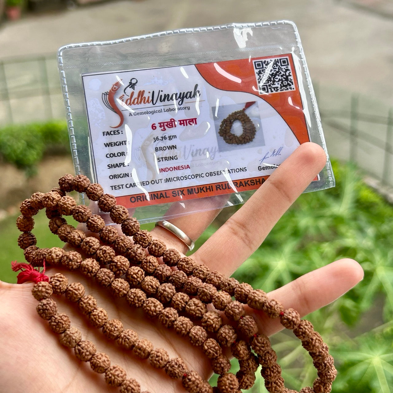 6 Mukhi Rudraksha Mala - With Certificate