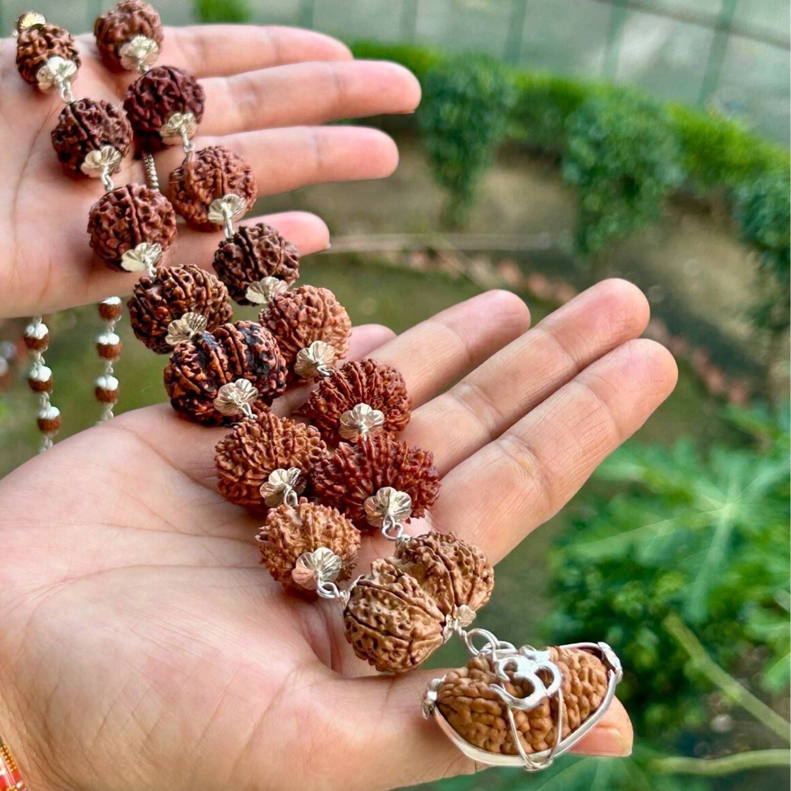 1 to 14 Mukhi Siddh Rudraksha Mala - In Hand
