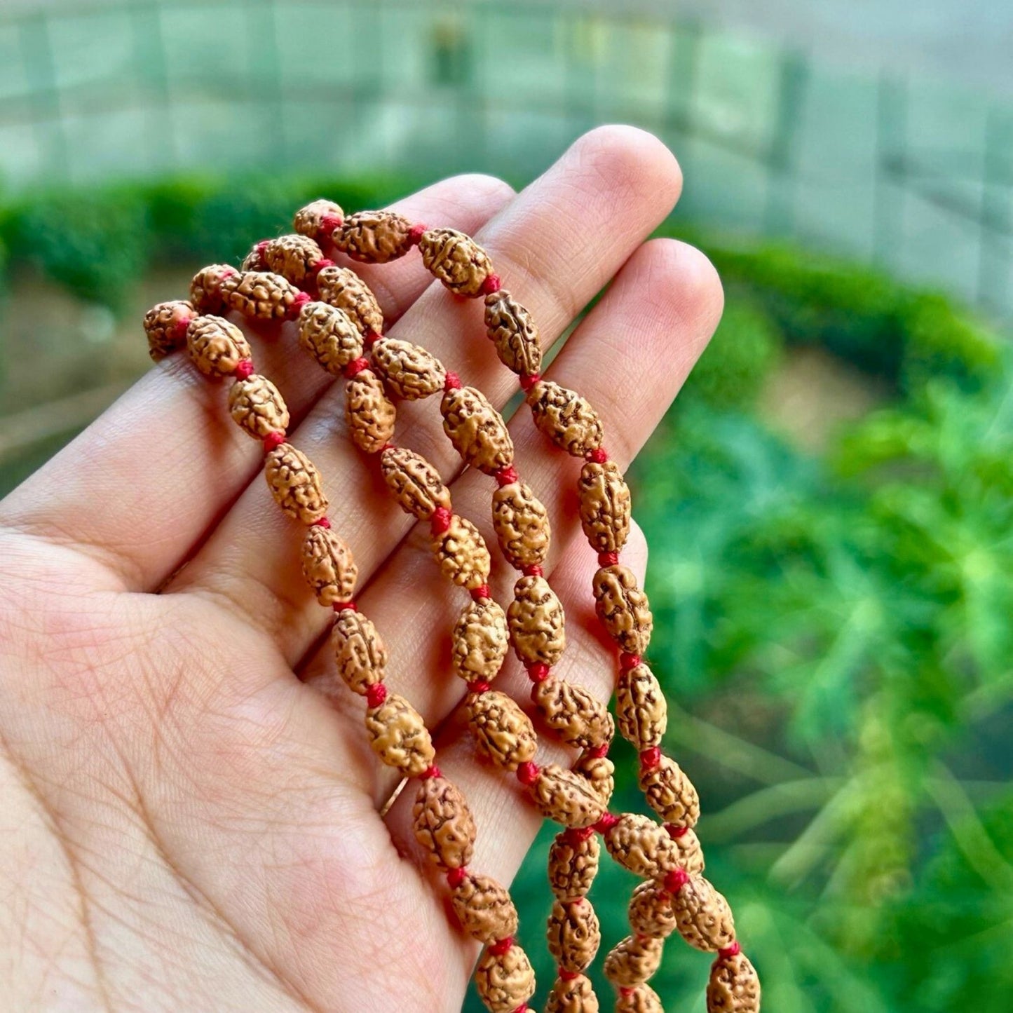 2 Mukhi Rudraksha Mala - close up