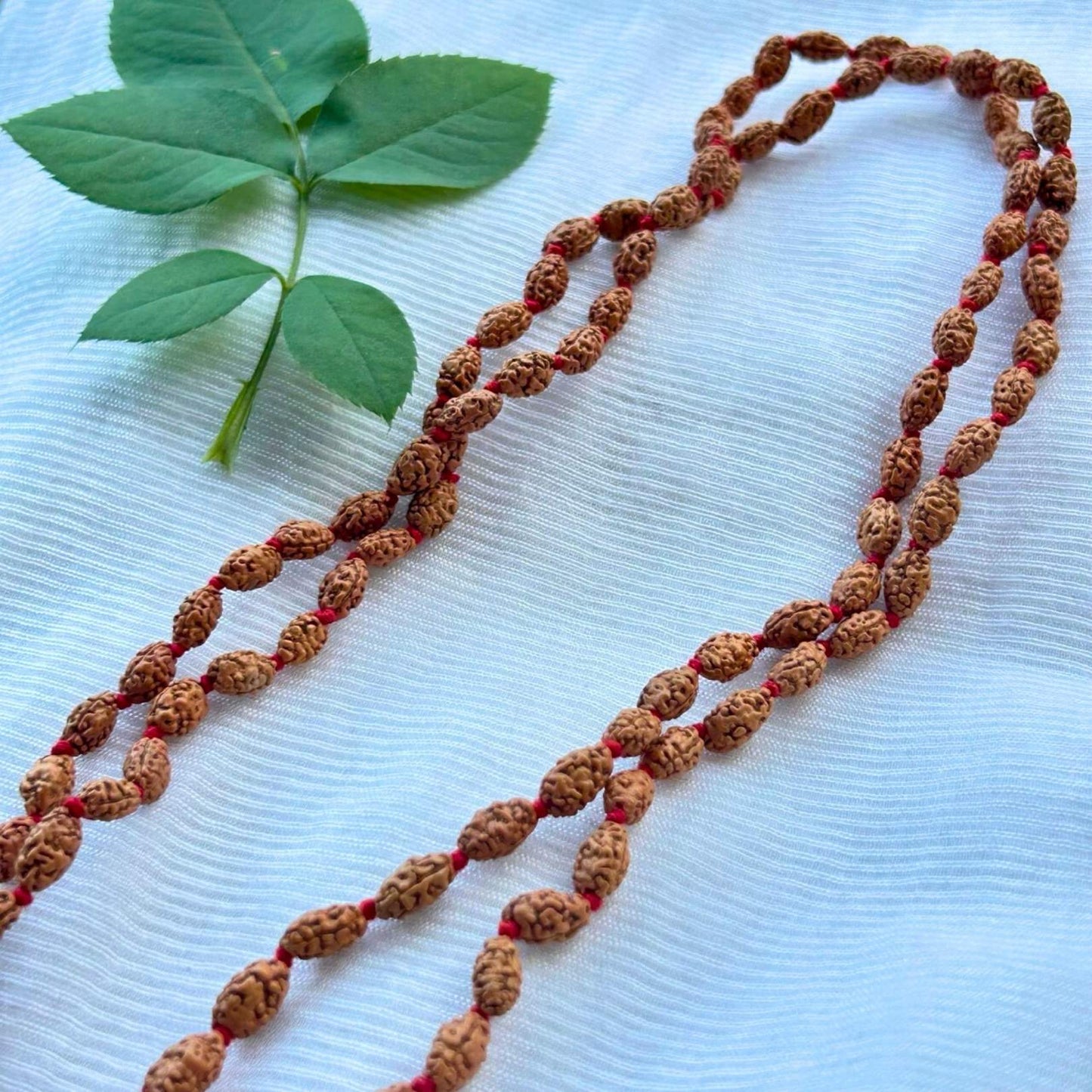 2 Mukhi Rudraksha Mala