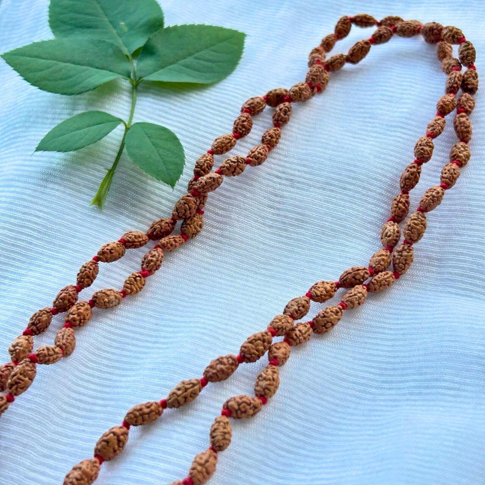 2 Mukhi Rudraksha Mala