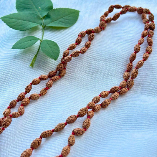 2 Mukhi Rudraksha Mala