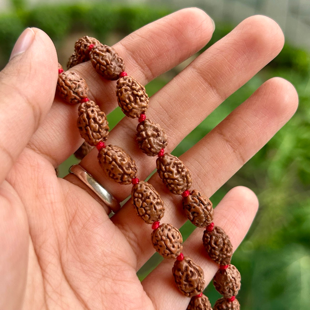 3 Mukhi Rudraksha Mala - In Hand