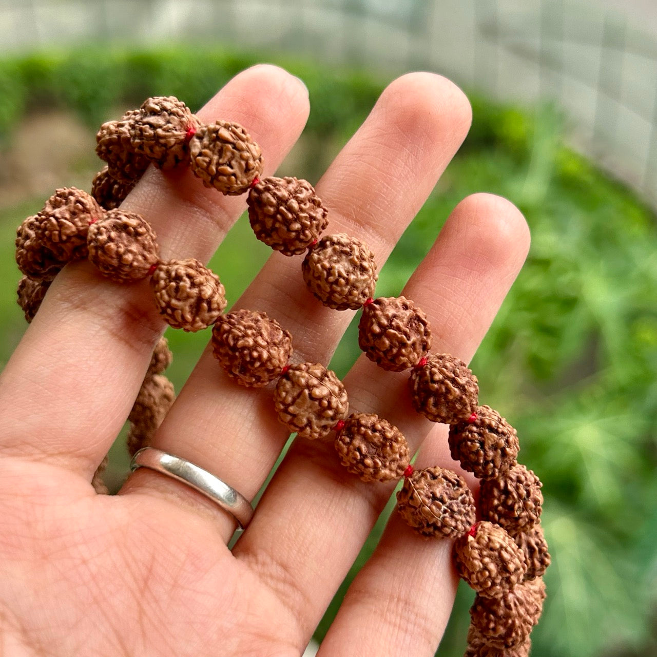 4 Mukhi Rudraksha Mala - In Hand