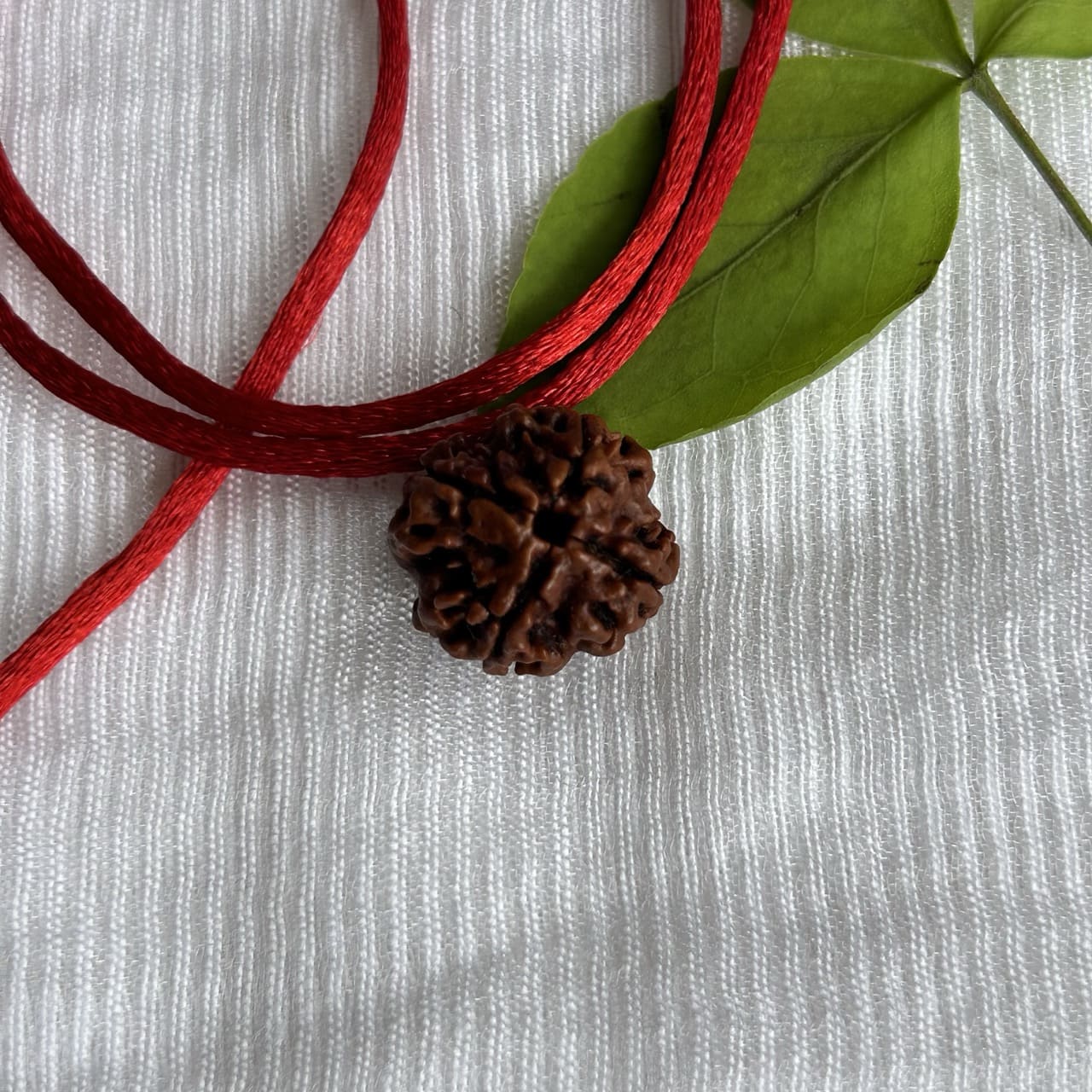 4 Mukhi Nepali Rudraksha - Angle View