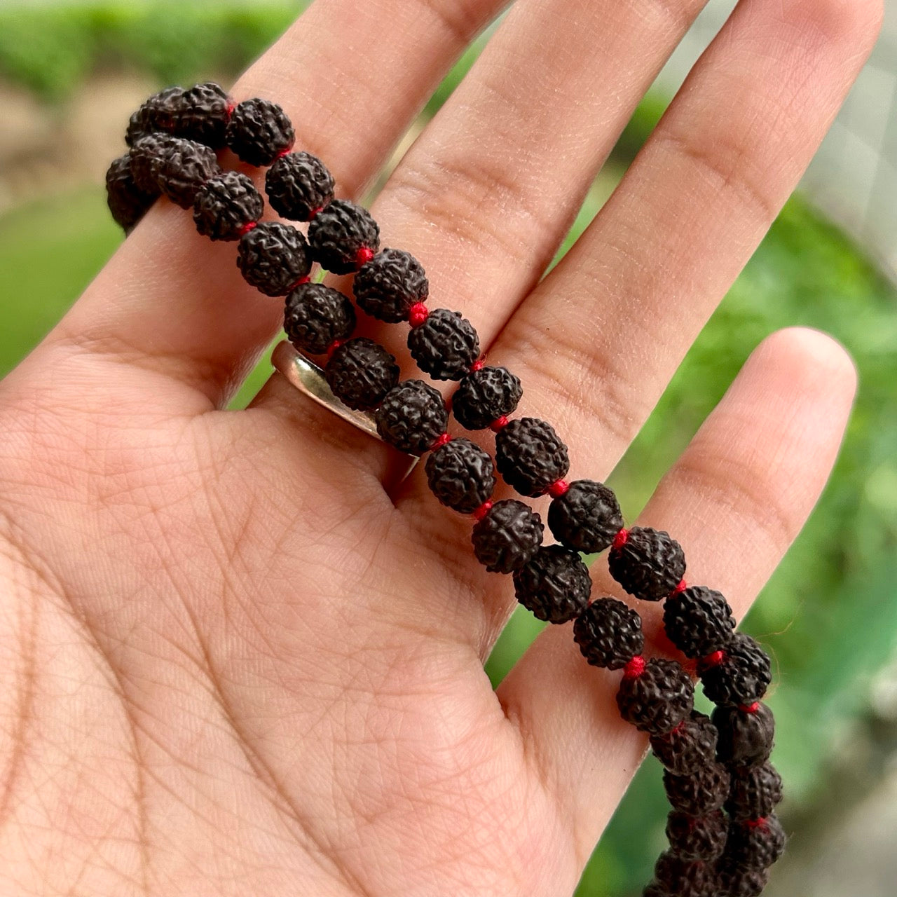 5 Mukhi Black Rudraksha Mala - In Hand