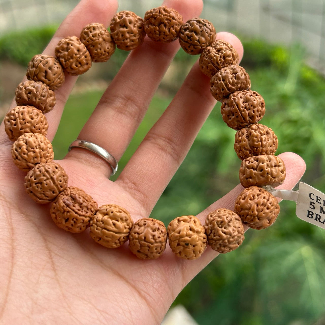 5 Mukhi Rudraksha Bracelet - In Hand