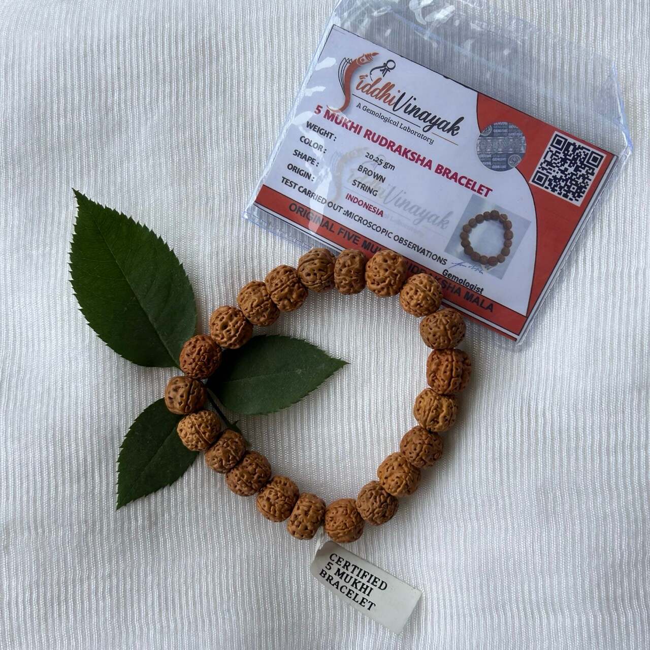 5 Mukhi Rudraksha Bracelet - With Certificate
