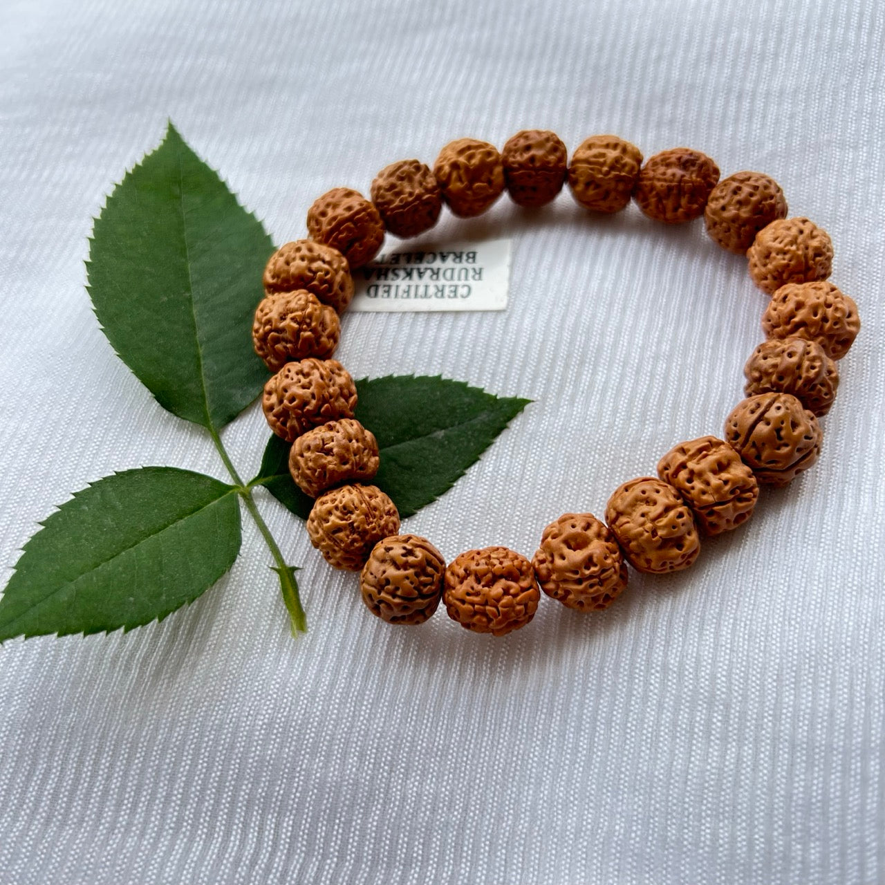 5 Mukhi Rudraksha Bracelet - Full View