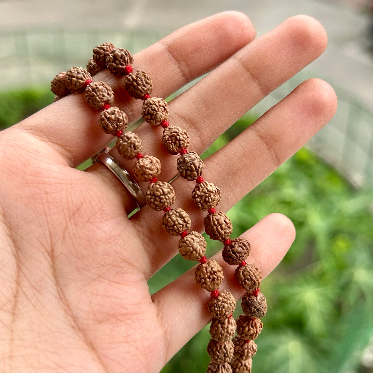 5 Mukhi Rudraksha Mala - In Hand