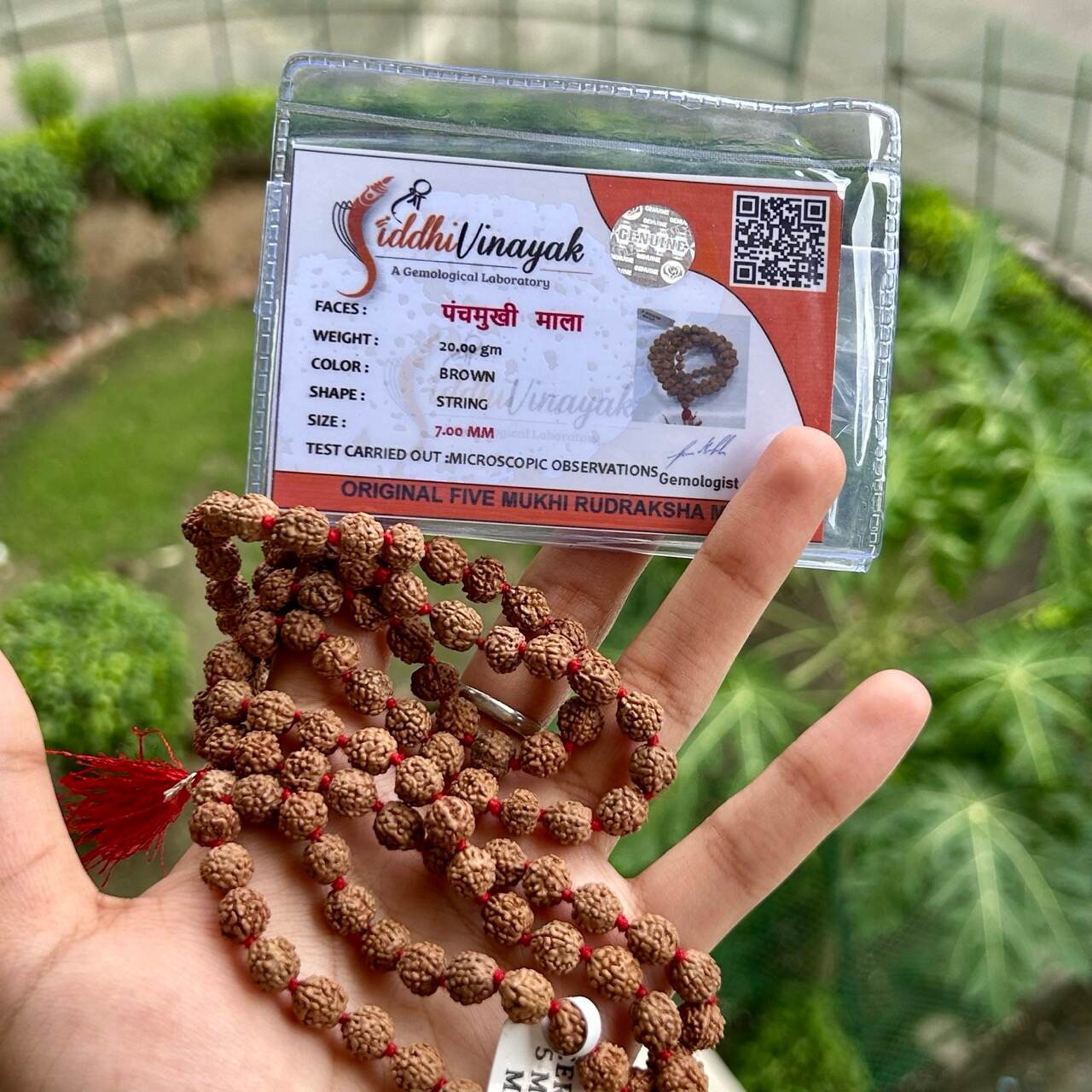 5 Mukhi Rudraksha Mala - With Certificate