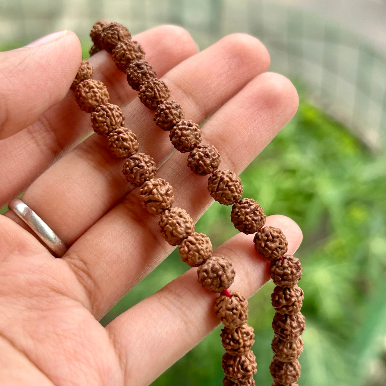 6 Mukhi Rudraksha Mala - In Hand
