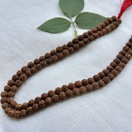 6 Mukhi Rudraksha Mala - Full View