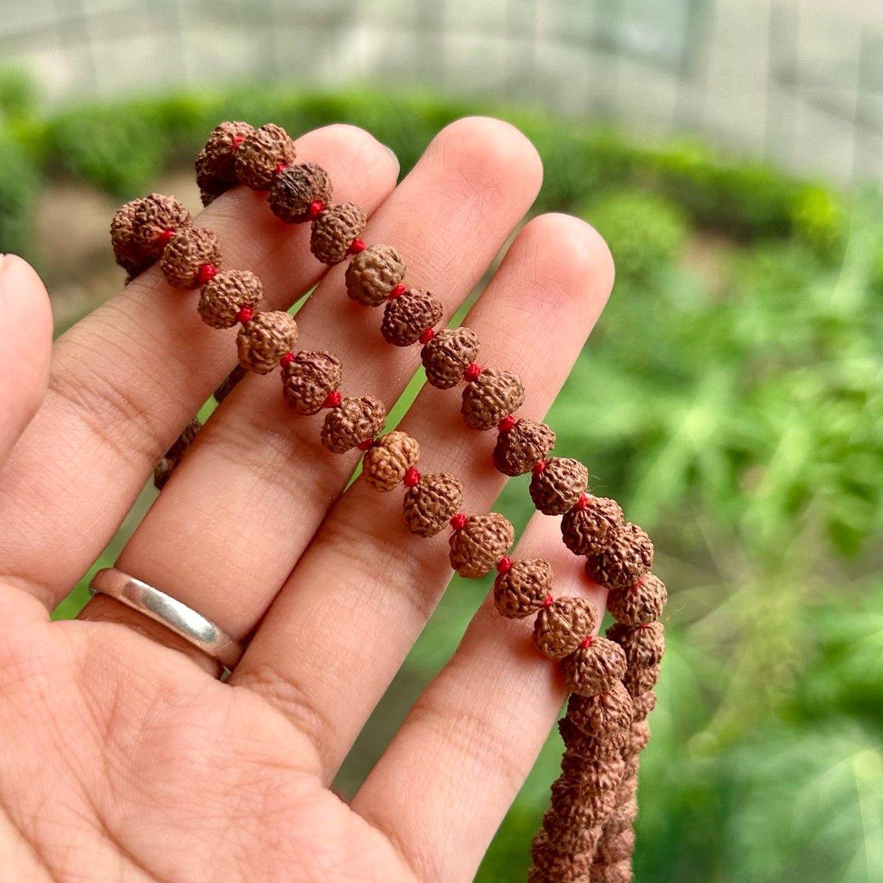 7 Mukhi Rudraksha Mala - In Hand
