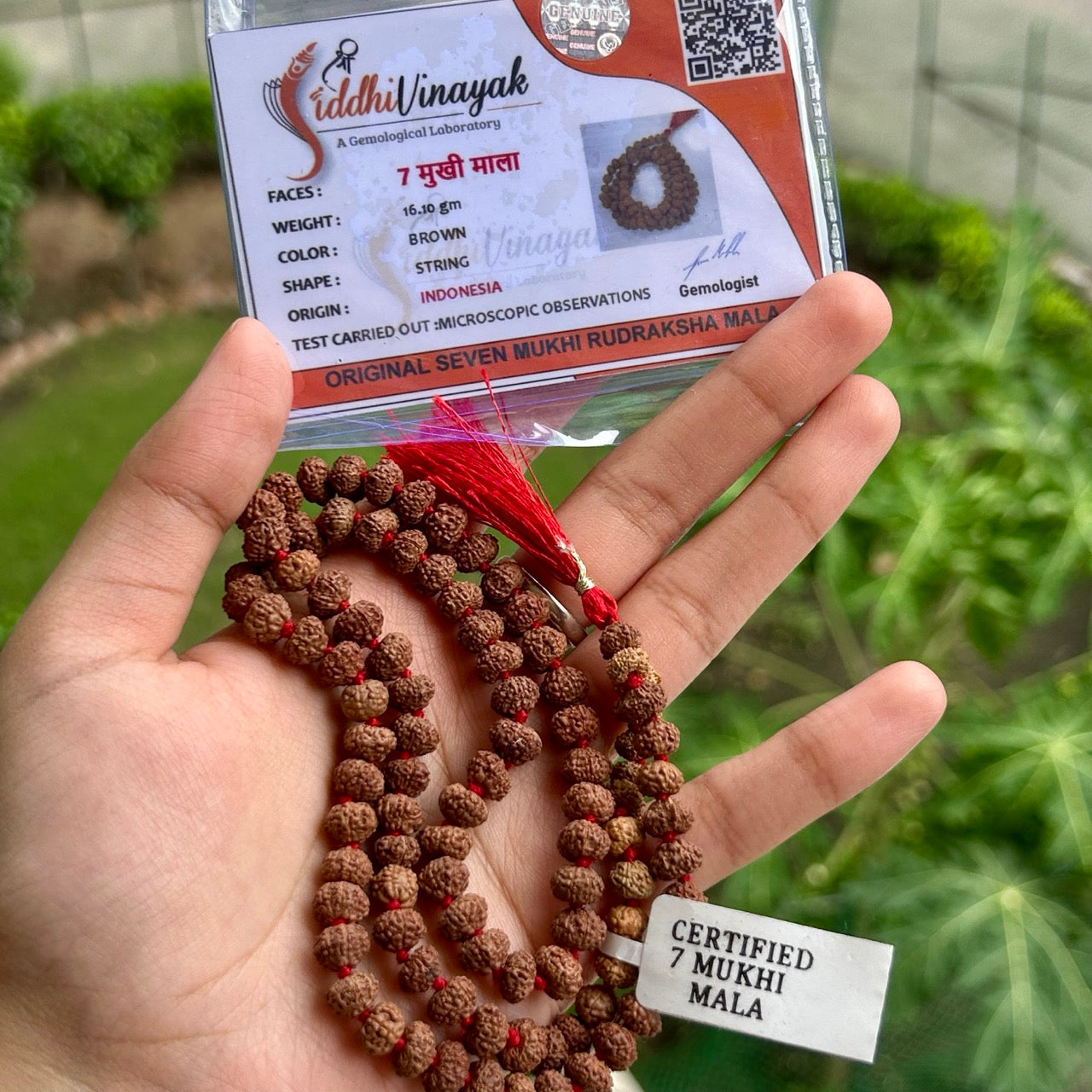 7 Mukhi Rudraksha Mala - With Certificate