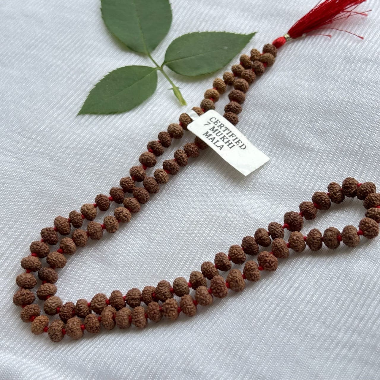 7 Mukhi Rudraksha Mala - Full View
