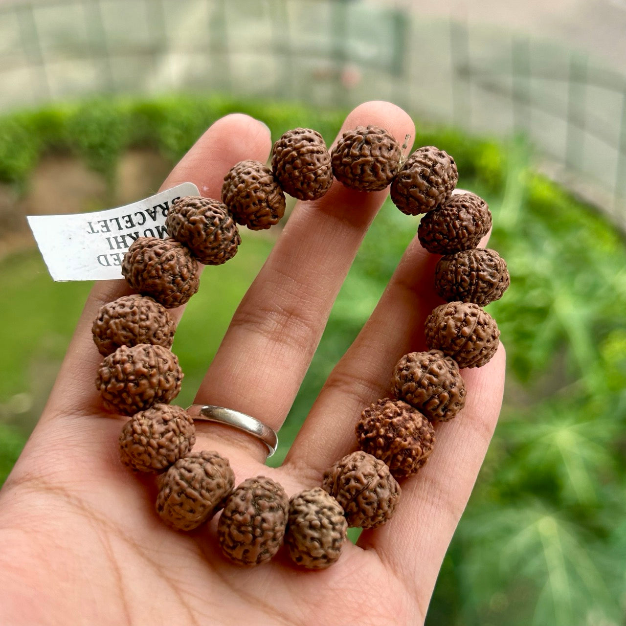 7 Mukhi Rudraksha Bracelet - In Hand
