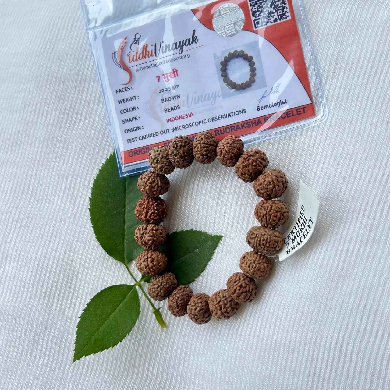 7 Mukhi Rudraksha Bracelet - With Certificate