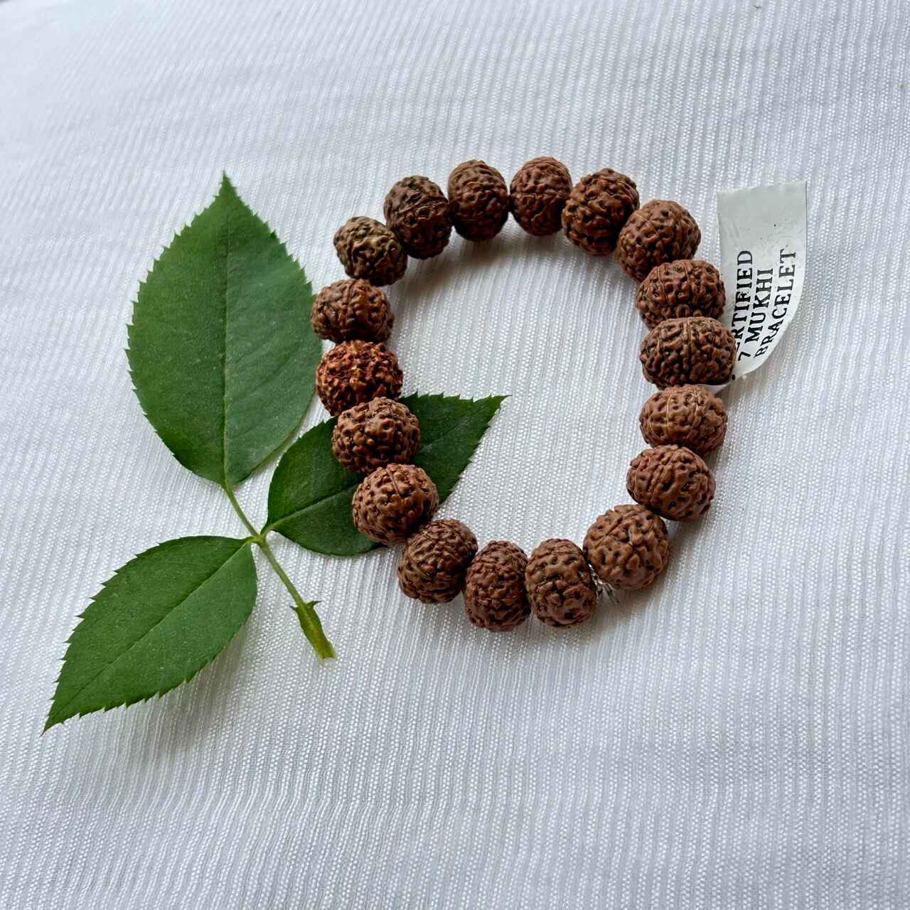 7 Mukhi Rudraksha Bracelet - Full View