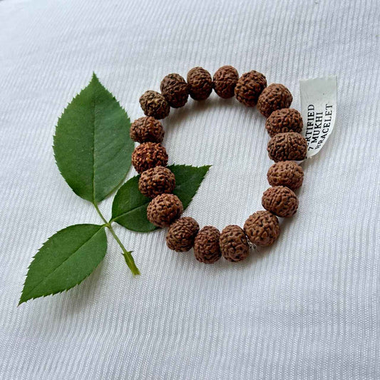 7 Mukhi Rudraksha Bracelet - Full View