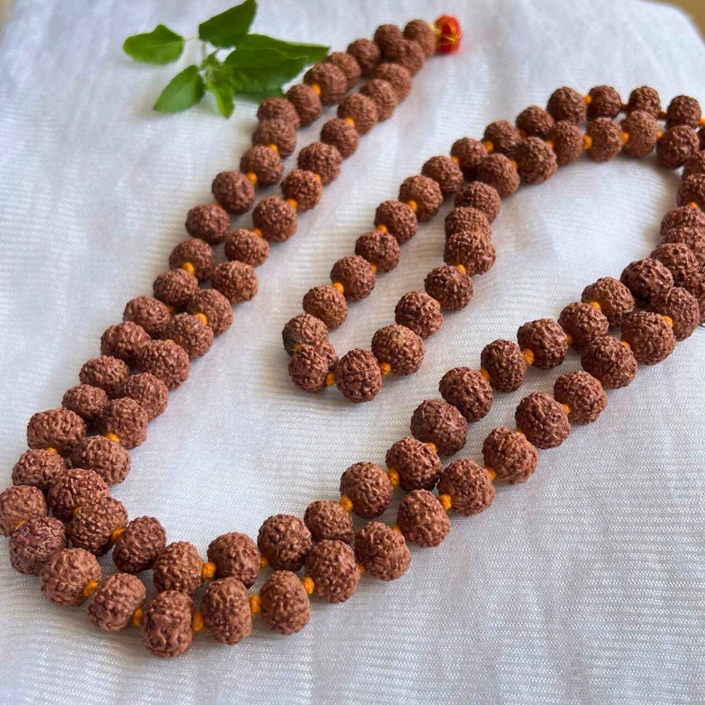 7 Mukhi Rudraksha Mala - Big size