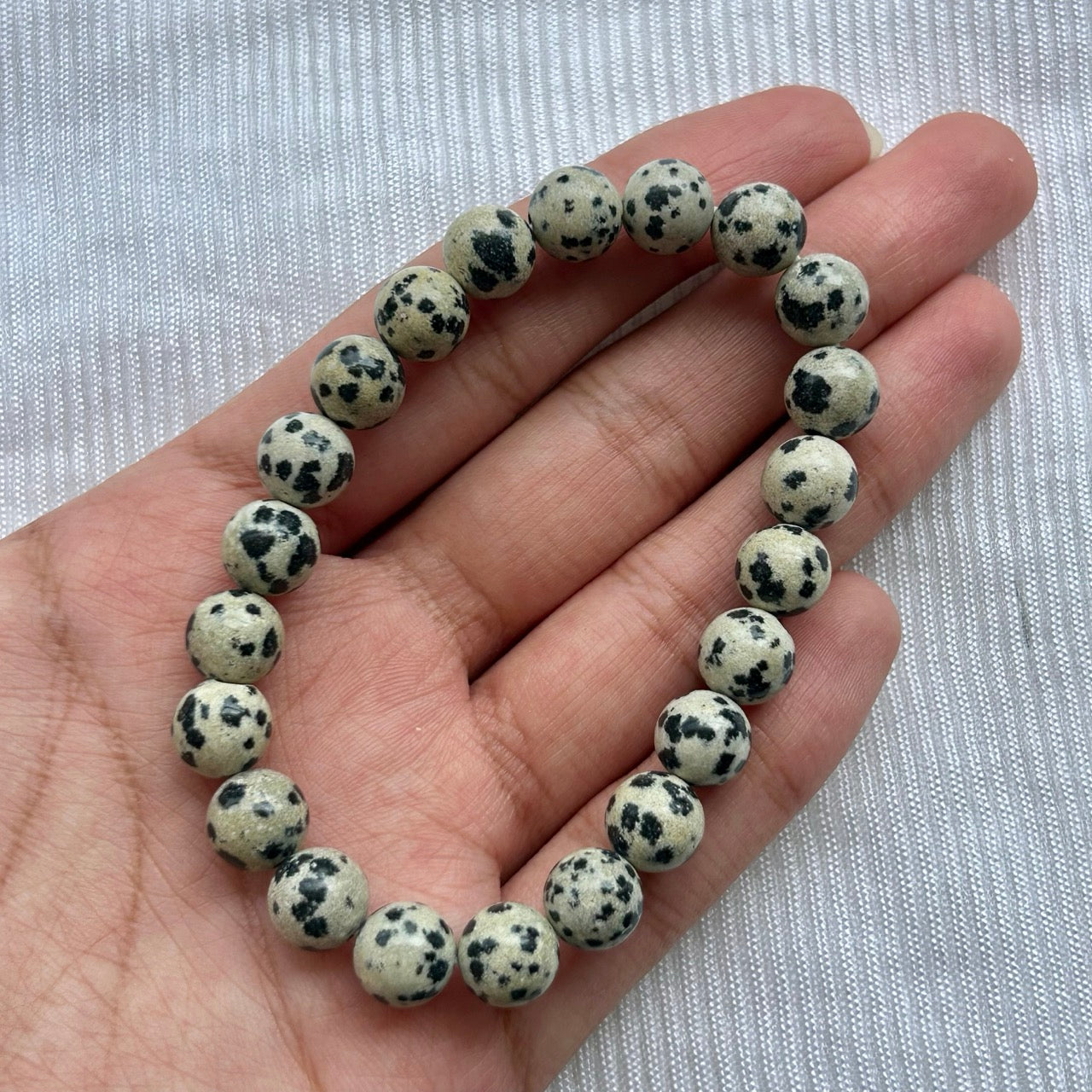 Dalmatian Jasper Bracelet- - In hand
