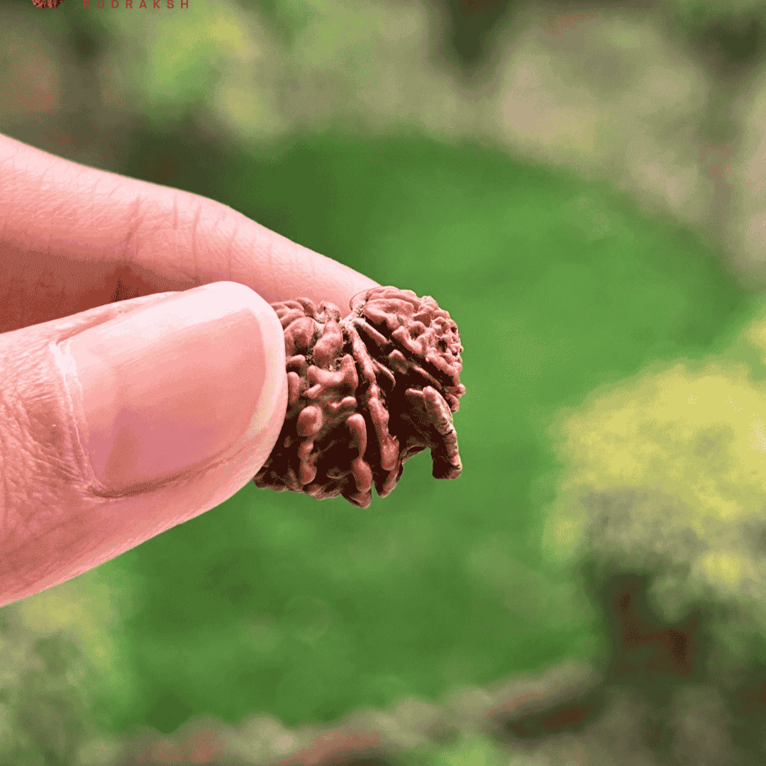 Garbh Gauri with Ganesh Rudraksha- 2