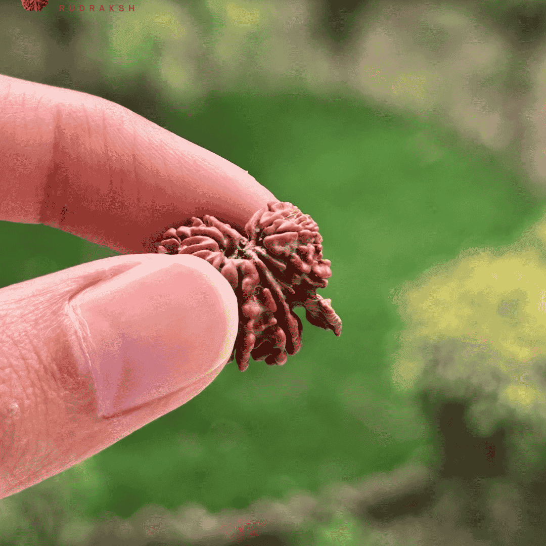 Garbh Gauri with Ganesh Rudraksha - In hand