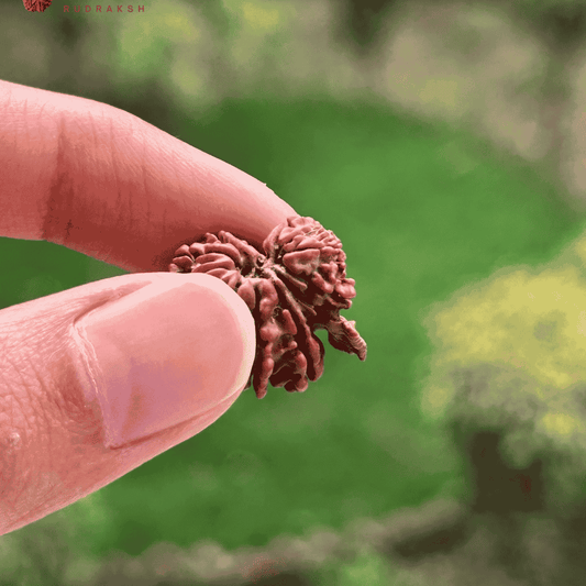 Garbh Gauri with Ganesh Rudraksha - In hand