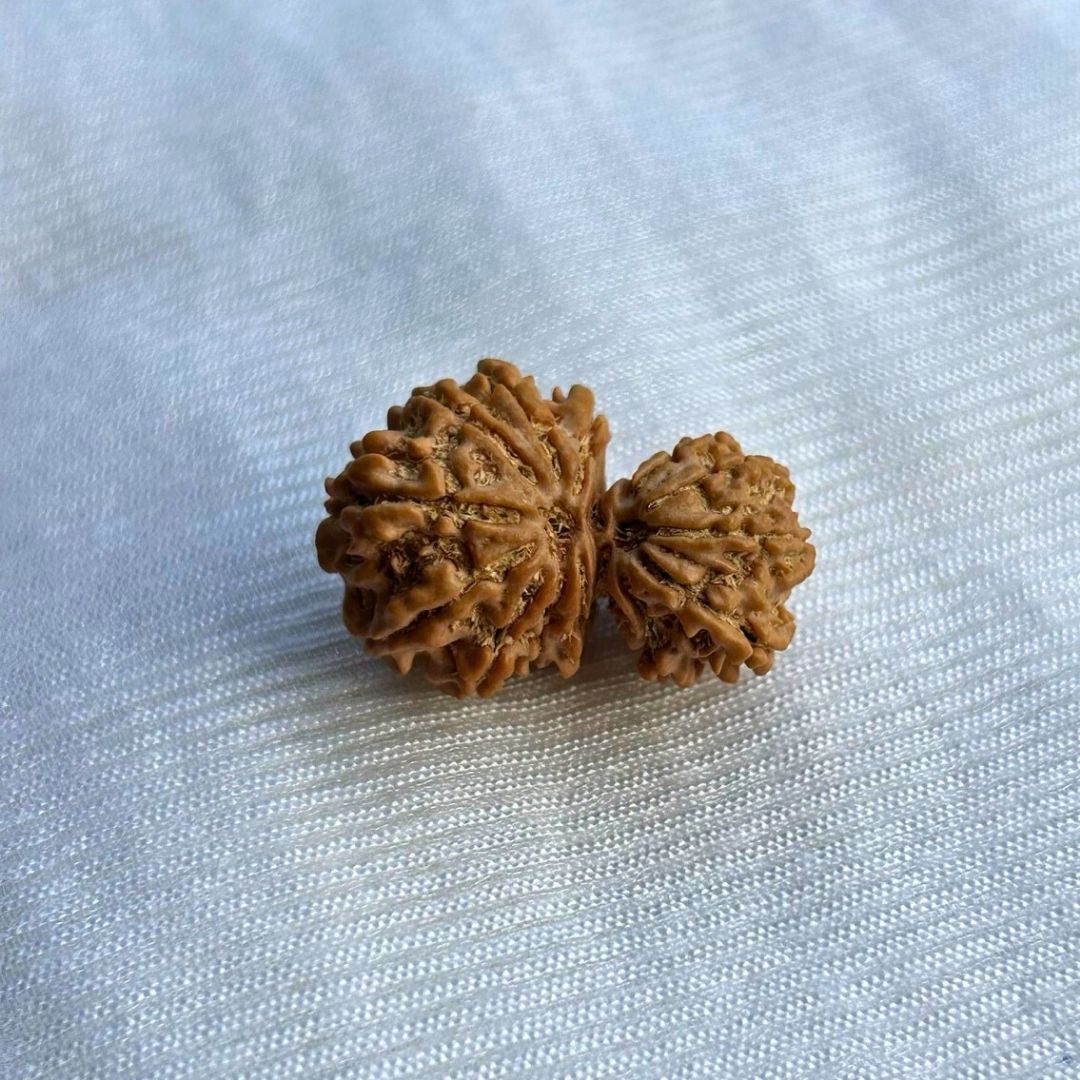 Gauri Shankar Rudraksh