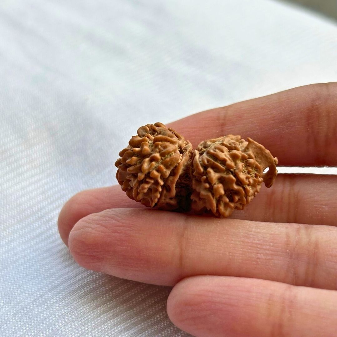 Gauri Shankar Ganesh - In Hand