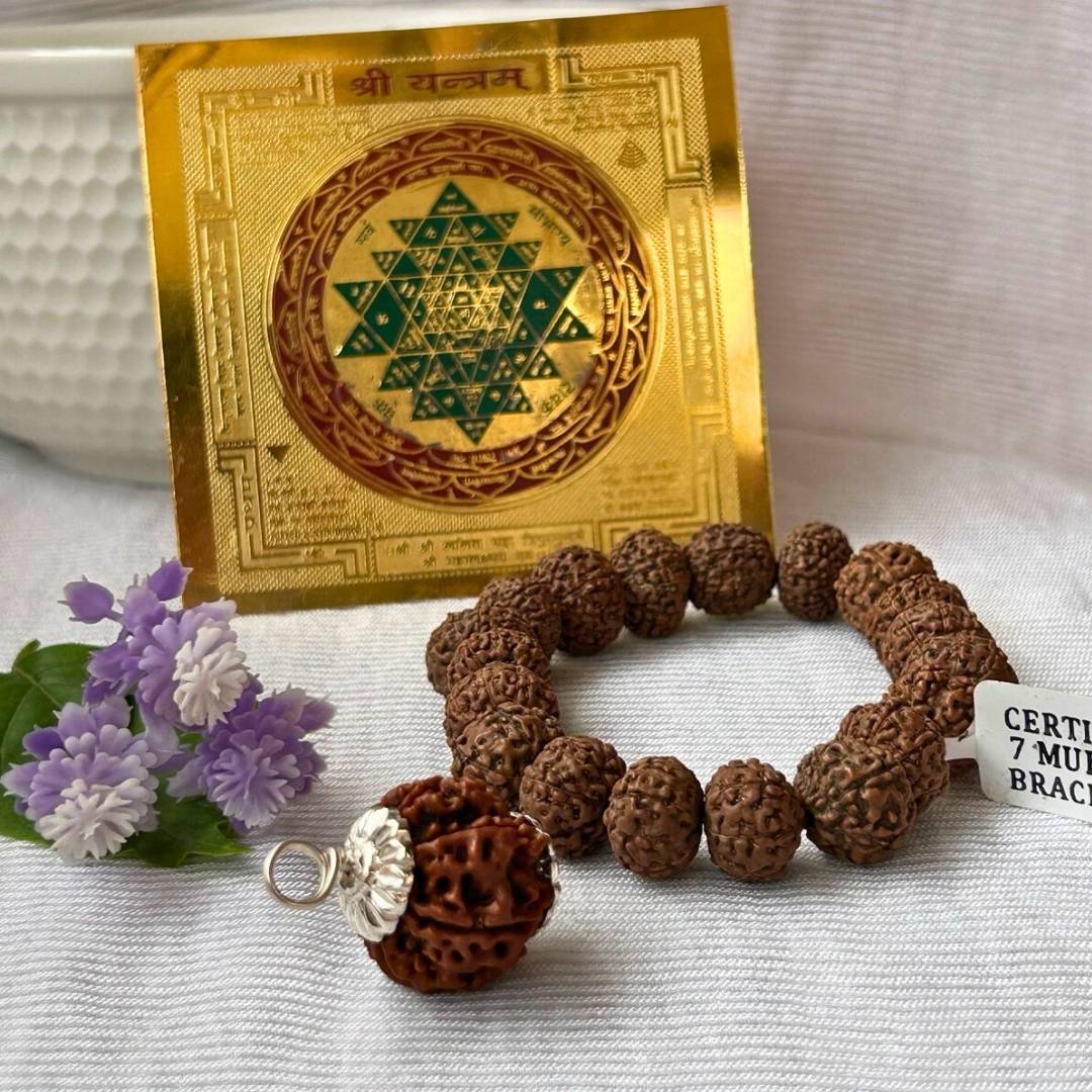 Wealth & Prosperity Kit