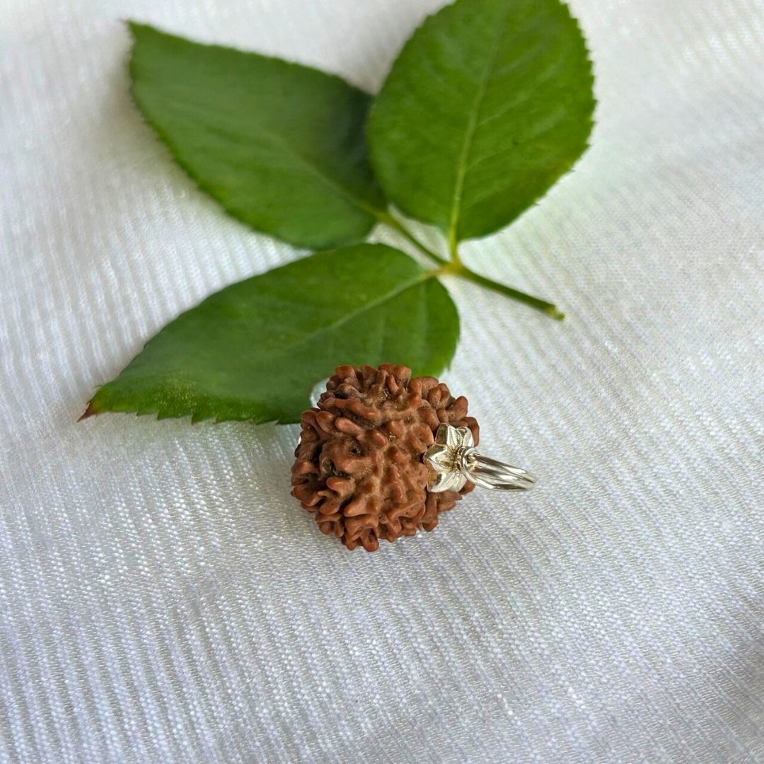 Protection & Stability Kit