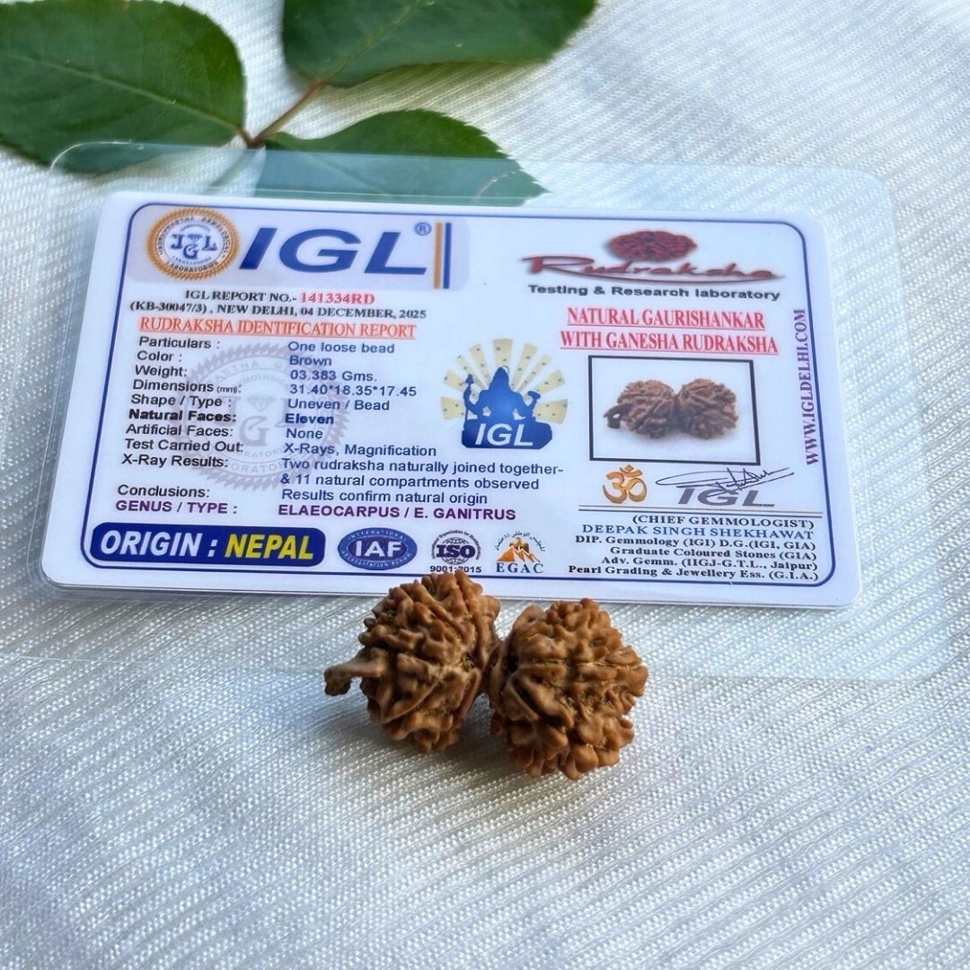 Gauri Shankar Ganesh - With Certificate