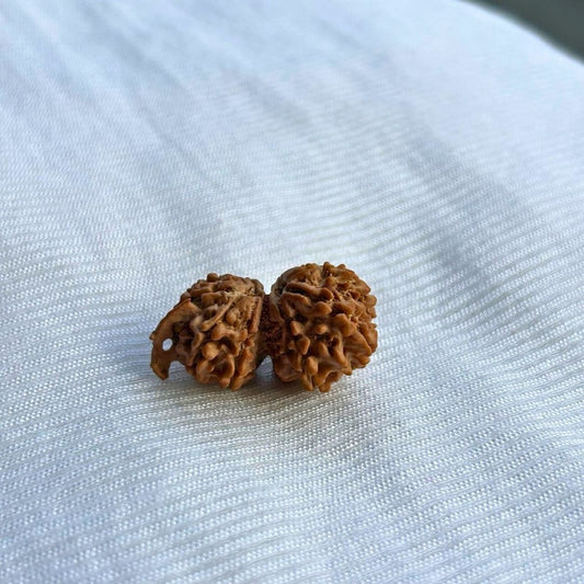 Gauri Shankar Ganesh