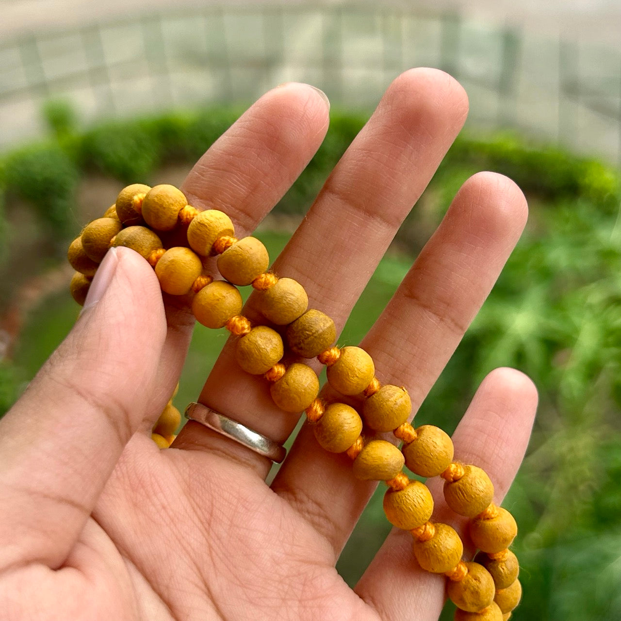 Haldi Mala - Close up