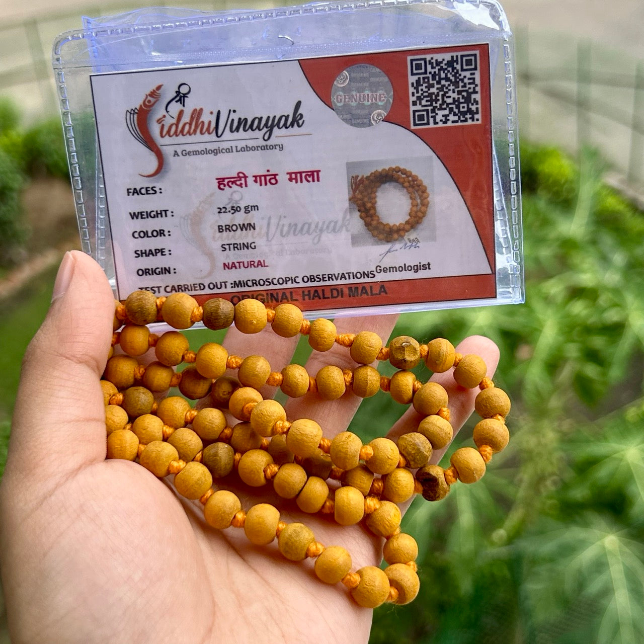 Haldi Mala - With Certificate