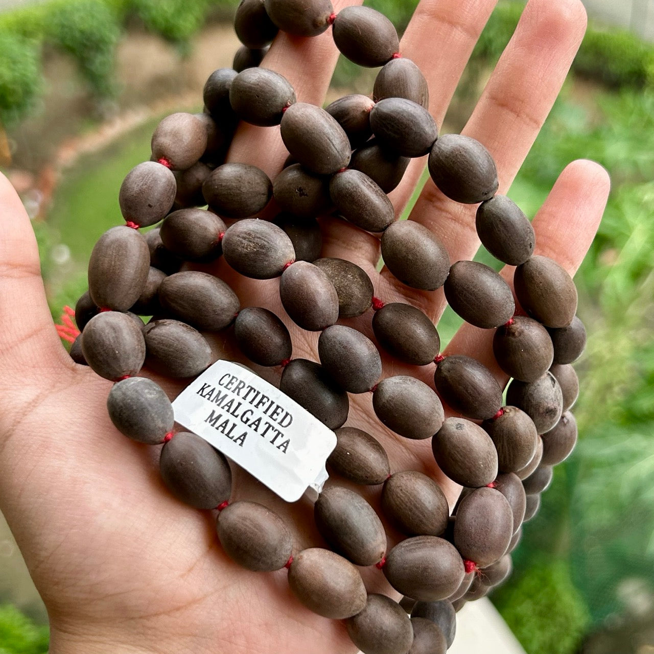 Tulsi Mala - Close Up