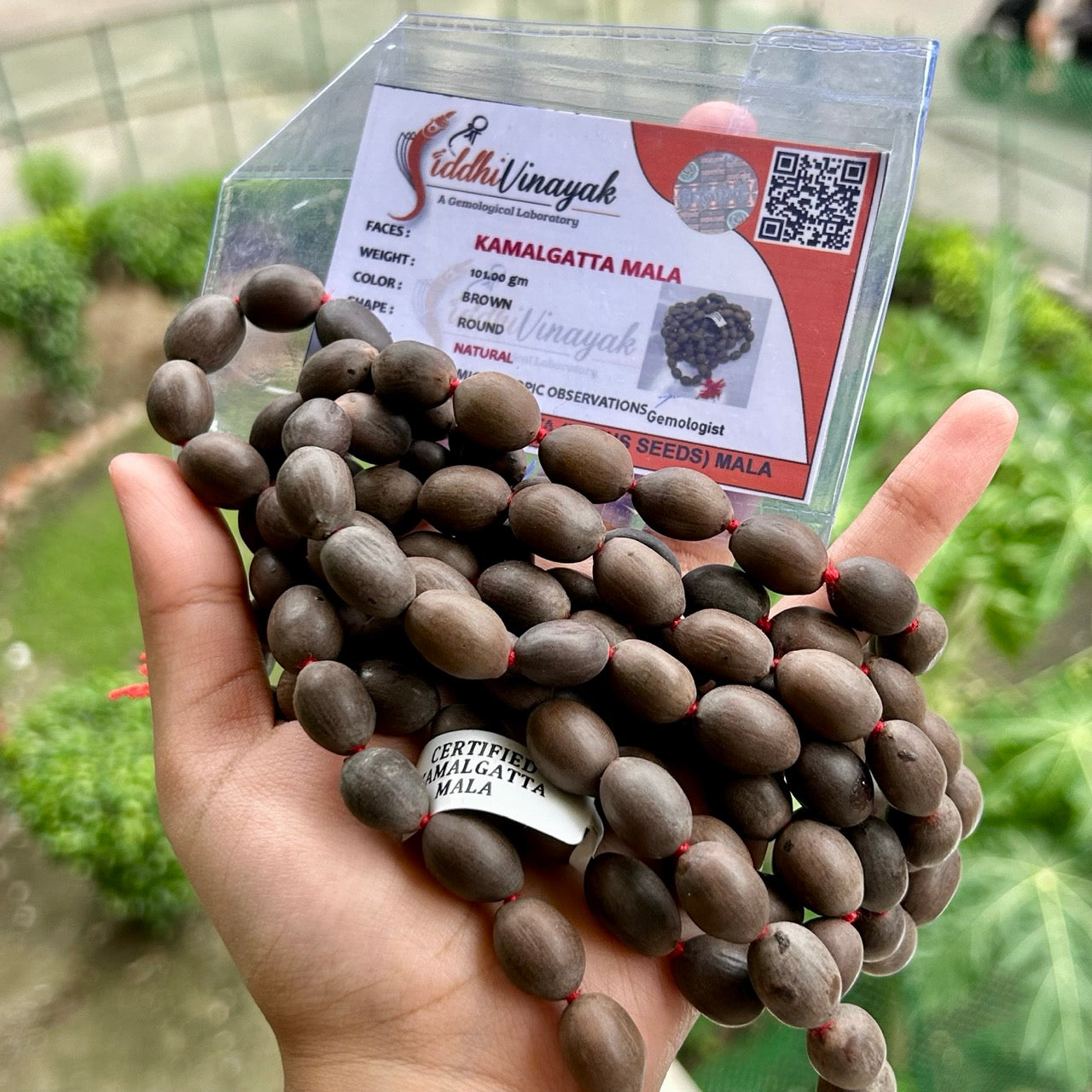 Tulsi Mala - With Certificate