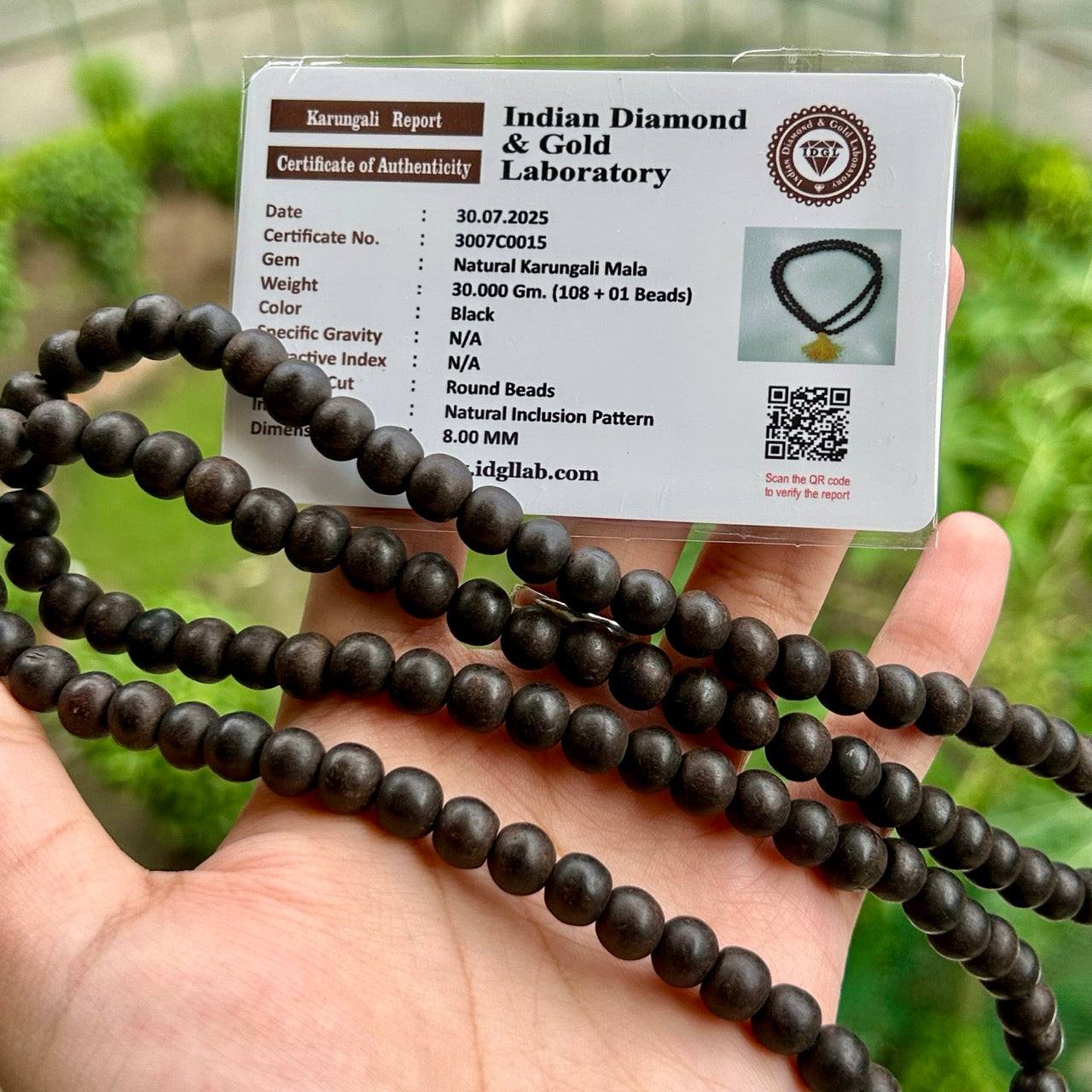 Karungali Mala - With Certificate