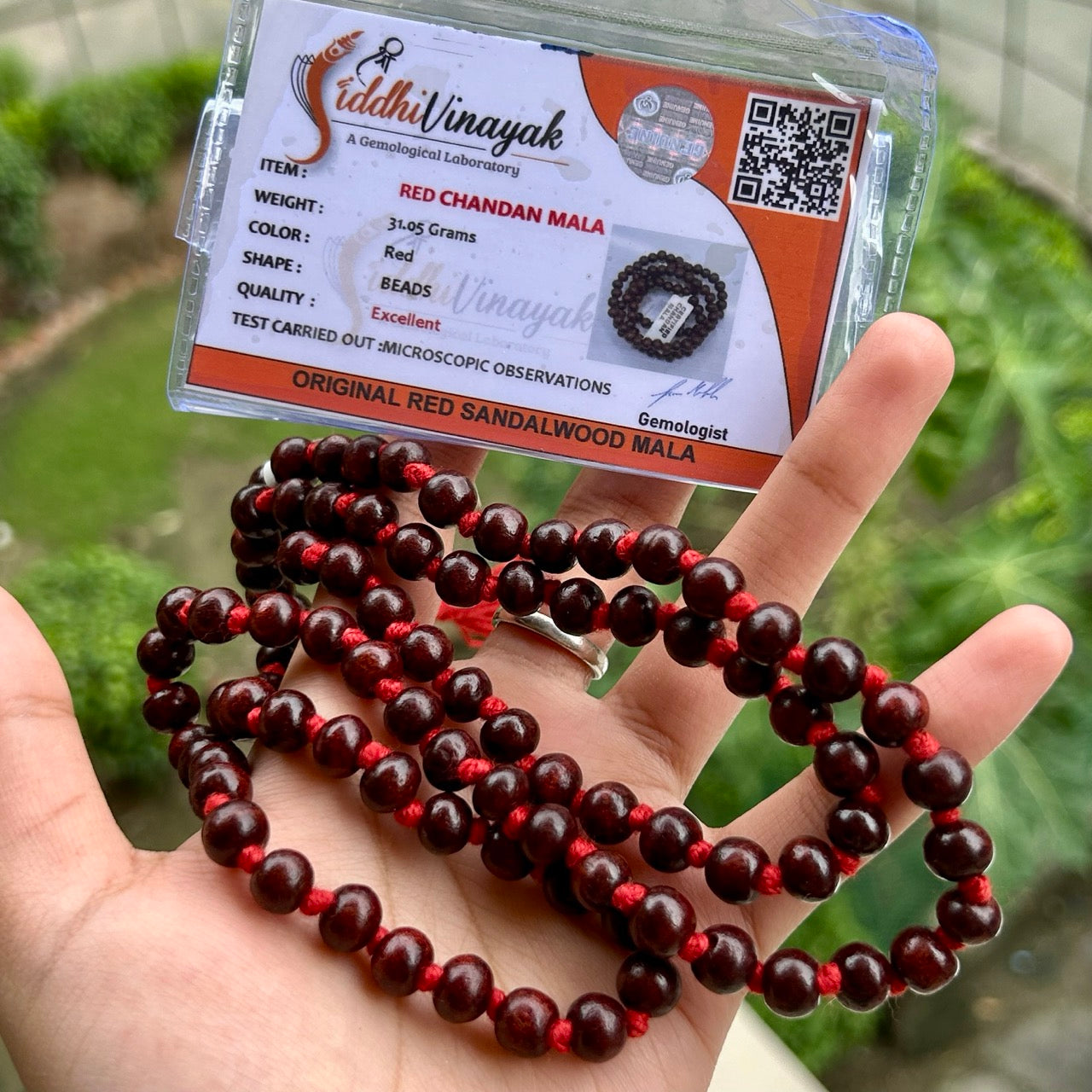 Red Chandan Mala - With Certificate