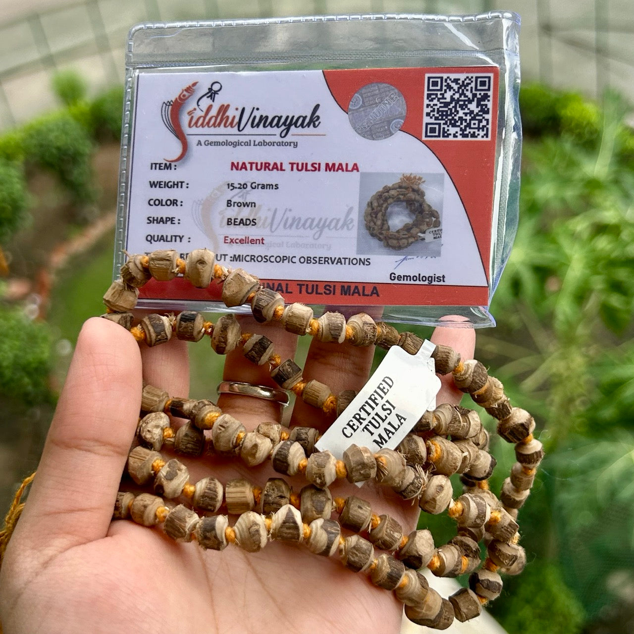 Tulsi Mala - With Certificate