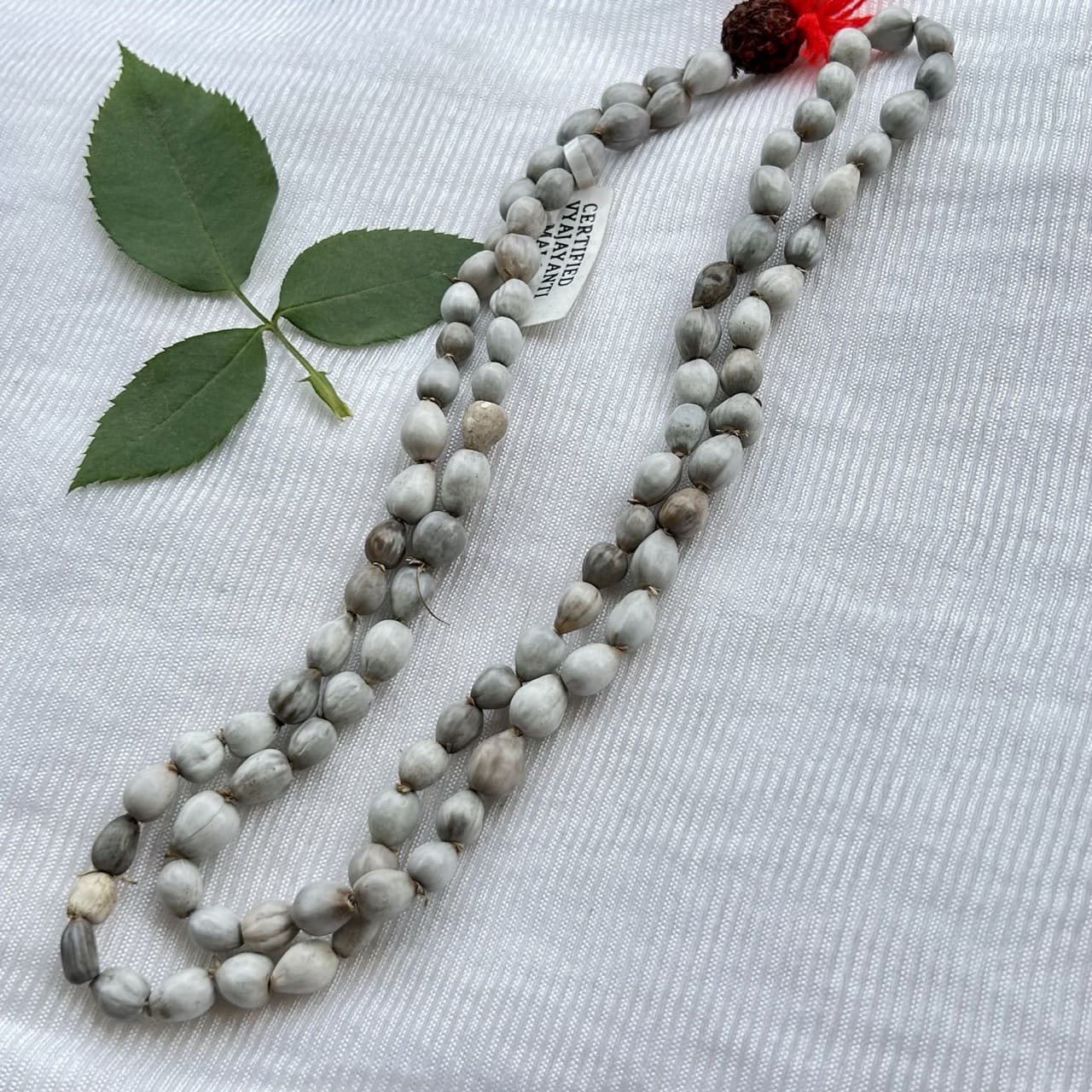 Vaijanti Mala - Full View