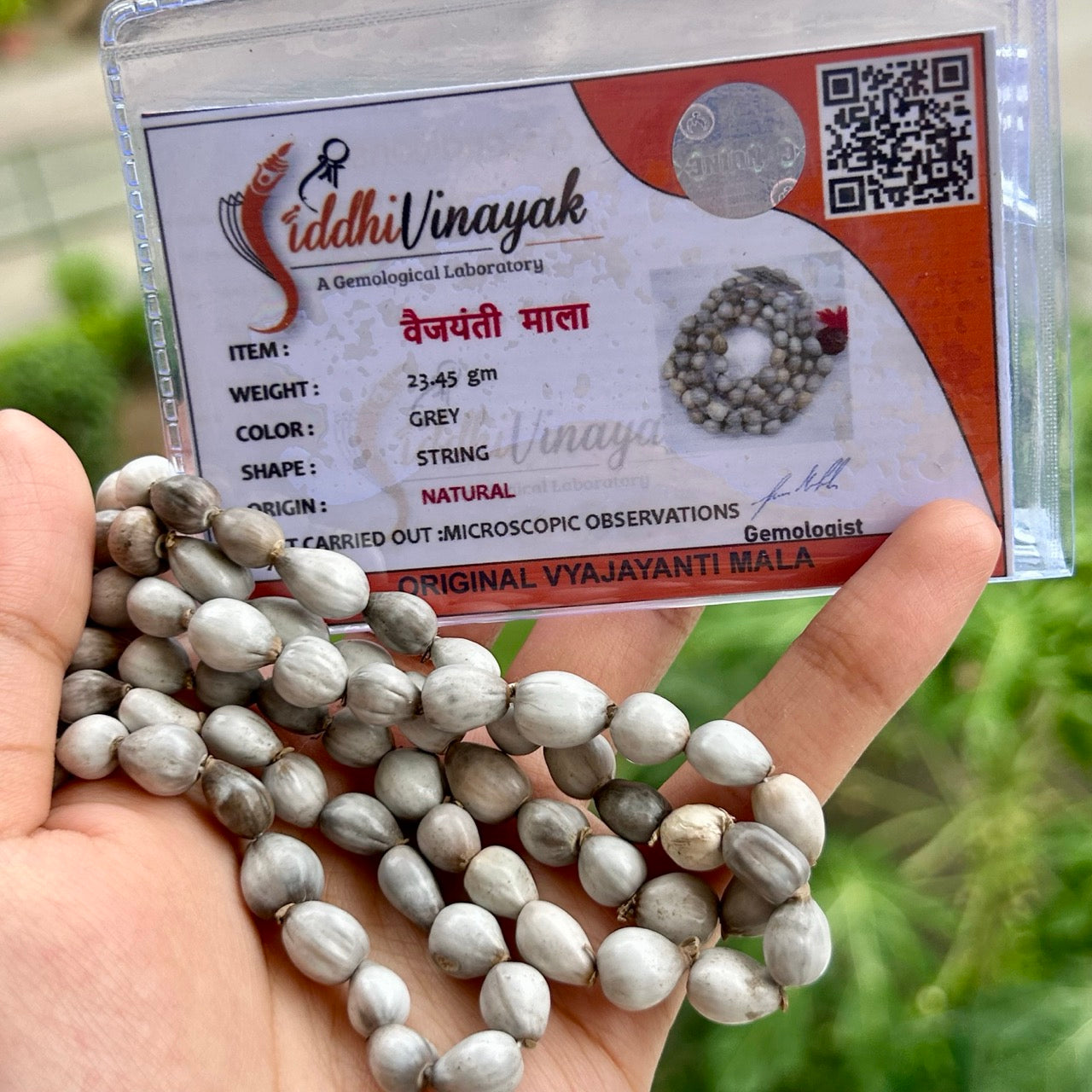 Vaijanti Mala - WIth Certificate