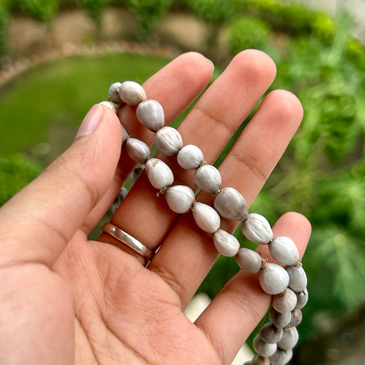 Vaijanti Mala - Close Up